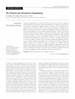 Research paper thumbnail of The placenta and intrauterine programming