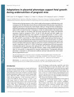 Research paper thumbnail of Adaptations in placental phenotype support fetal growth during undernutrition of pregnant mice