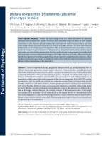 Research paper thumbnail of Dietary composition programmes placental phenotype in mice