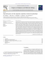 Research paper thumbnail of Imprinted genes and epigenetic regulation of placental phenotype