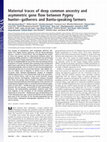 Research paper thumbnail of Maternal traces of deep common ancestry and asymmetric gene flow between Pygmy hunter-gatherers and Bantu-speaking farmers