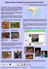 Research paper thumbnail of Edible Insects of Western and Central Africa online