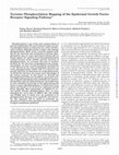 Research paper thumbnail of Tyrosine Phosphorylation Mapping of the Epidermal Growth Factor Receptor Signaling Pathway