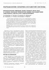 Research paper thumbnail of MORPHOLOGICAL CHANGES IN BRAIN TISSUES OF RAT WITH LOCAL
PERMANENT ISCHEMIA MODEL UNDER THE ACTION
OF 2-METHYL-6-ETHYL-3-HYDROXYPYRIDINE HEMISUCCINATE