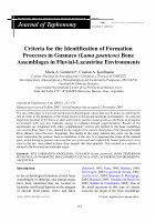 Research paper thumbnail of Methodological Criteria for the Identification of Formation Processes in Guanaco (Lama guanicoe) Bone Assemblages in Fluvial-Lacustrine Environments