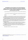 Research paper thumbnail of Morphological and electrophoretic data of primary pulmonary fibroblasts cultures obtained from normal and Ovalbumin-Challenged “Asthmatic” Wistar rats treated by speleotherapy in Cacica and Dej Romanian Salt Mines