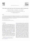 Research paper thumbnail of Water phases under high electric field and pressure applied simultaneously