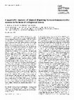 Research paper thumbnail of Comparative anatomy of pigment-dispersing hormone-immunoreactive neurons in the brain of orthopteroid insects