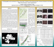 Research paper thumbnail of A PETROGRAPHIC AND GEOCHEMICAL EAST VERSUS WEST ANALYSIS OF THE NEOPROTEROZOIC CATOCTIN FORMATION IN THE BLUE RIDGE ANTICLINORIUM, CENTRAL VIRGINIA