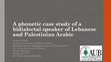 Research paper thumbnail of A phonetic case study of a bidialectal speaker of Lebanese and Palestinian Arabic