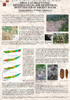 Research paper thumbnail of Pinge 2 at Mali Šturac: Archaeological and geophysical investigation of ancient mining