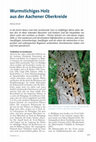 Research paper thumbnail of Wurmstichiges Holz aus der Aachener Oberkreide. pdf