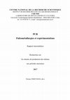 Research paper thumbnail of PCR Paléométallurgies et expérimentations