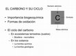 Research paper thumbnail of EL CARBONO Y SU CICLO