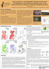 Research paper thumbnail of On the surface - an experiment on how to deal with the remains of the Copper Age surface level of the Cham culture settlement in Steyregg-Windegg, Austria: T01S026