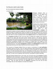 Research paper thumbnail of Relating Putrajaya Wetland Park to Islamic Garden Concept