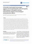 Research paper thumbnail of A formalin‑inactivated immunogen against viral encephalopathy and retinopathy (VER) disease in European sea bass (Dicentrarchus labrax): immunological and protection effects