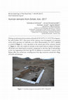 Research paper thumbnail of Human remains from Estark, Iran, 2017