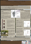 Research paper thumbnail of Exploitation et diffusion de la rhyolite en Corse néolithique : actualité archéologique et développement analytique - Poster GMPCA Rennes 2017