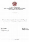 Research paper thumbnail of E. S. Ferrari, Evaluation of the conservation state of some fabric fragments with metal threads of Michelangelo Guggenheim collection, Bachelor Thesis, supervisor Prof. G. Pojana, advisors Dott.ssa L. de Ferri, Dott.ssa A. Martignon, Ca’ Foscari University of Venice, a.y. 2014/2015.