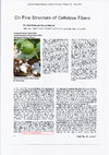 Research paper thumbnail of On fine structure of cellulose fibers