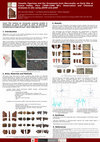 Research paper thumbnail of del Solar Velarde et al. 2017 _ Vessels, Figurines and Ear Ornaments from Marcavalle, an Early Site at Cuzco Valley, Peru (3000-2200 BP): Observation and Chemical Analyses in situ using pDOM and pXRF