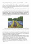 Research paper thumbnail of Observer Charleroi - terrils et plantes invasives