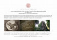 Research paper thumbnail of SCAVI ARCHEOLOGICI NEL CASTELLO DI RONTANA (BRISIGHELLA, RA