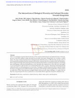 Research paper thumbnail of The intersections of biological diversity and cultural diversity: towards integration