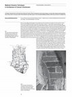 Research paper thumbnail of MEDIEVAL CERAMICS TECHNIQUES IN ARCHITECTURE OF CRACOW’S DOMINICANS