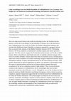 Research paper thumbnail of Lithic assemblages from the Middle Paleolithic of Geißenklösterle Cave, Germany: New insights on Late Pleistocene Neanderthal technology and behavior from the Swabian Jura