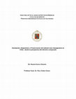 Research paper thumbnail of TESIS DOCTORAL CASE MANAGEMENT - CONTENIDOS E INTRODUCCION