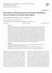 Research paper thumbnail of Biosynthesis of Phytohormones by Potassium Solubilising Bacteria Isolated from Banana Rhizosphere