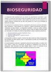 Research paper thumbnail of Bioseguridad informe