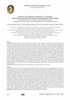 Research paper thumbnail of Interações entre Humanos Pré-Históricos e a Megafauna Quaternária na América do Sul: Aspectos Zooarqueológicos e Paleoecológicos