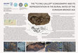 Research paper thumbnail of THE "FLYING GALLOP" ICONOGRAPHY AND ITS REPRESENTATION IN THE BURIAL RATES OF THE EURASIAN BRONZE AGE