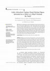 Research paper thumbnail of Çoklu Aidiyetlerin Toplamı Olarak Mezhep Olgusu:  Şehristânî’nin el-Milel ve’n-Nihal’i Özelinde Bir Tahlil (Madhhab Case as a Sum of Multiple Identities: An Analysis in the Context of al-Shahrastānī’s al-Milal wa al-Niḥal)