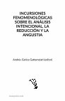 Research paper thumbnail of La primacía de la percepción en la teoría husserliana temprana de la imaginación (2017)