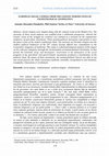 Research paper thumbnail of CCI3 POLITICAL SCIENCES AND INTERNATIONAL RELATIONS