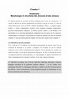 Research paper thumbnail of Grammaire du Niveau A1 pour le français