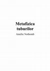 Research paper thumbnail of Metafizica tuburilor