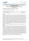 Research paper thumbnail of LAS TRANSFORMACIONES TERRITORIALES DEL ESPACIO AGRARIO URUGUAYO: NUEVAS REGIONALIDADES TERRITORIAL TRANSFORMATIONS IN THE URUGUAYAN AGRARIAN SPACE: NEW REGIONALITIES