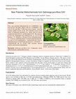 Research paper thumbnail of New Potential Allelochemicals from Galinsoga purviflora CAV