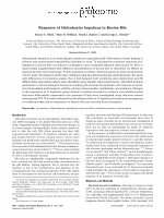 Research paper thumbnail of Response of Helicobacter hepaticus to bovine bile