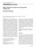 Research paper thumbnail of Effects of Helicobacter hepaticus on the proteome of HEp-2 cells