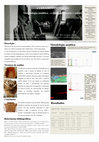 Research paper thumbnail of poster_urna_do_santissimo_com_medidas_PDF.pdf