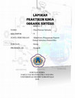 Research paper thumbnail of LAPORAN PRAKTIKUM KIMIA ORGANIK Sintesis