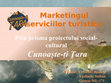 Research paper thumbnail of Marketingul serviciilor