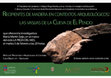 Research paper thumbnail of Recipientes de madera en contextos arqueológicos: las vasijas de madera de la Cueva de El Pendo