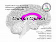 Research paper thumbnail of CUERPO CALLOSO